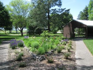 Rosenberger Garden 2015 003