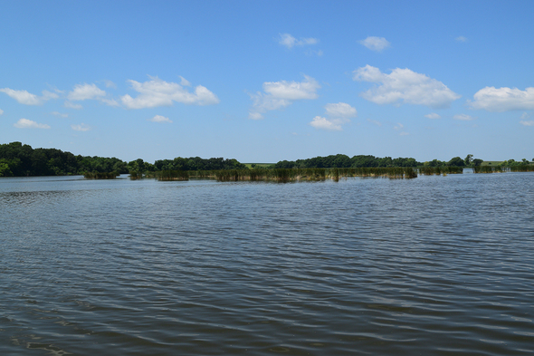 Photo of Sunken grove conservation area