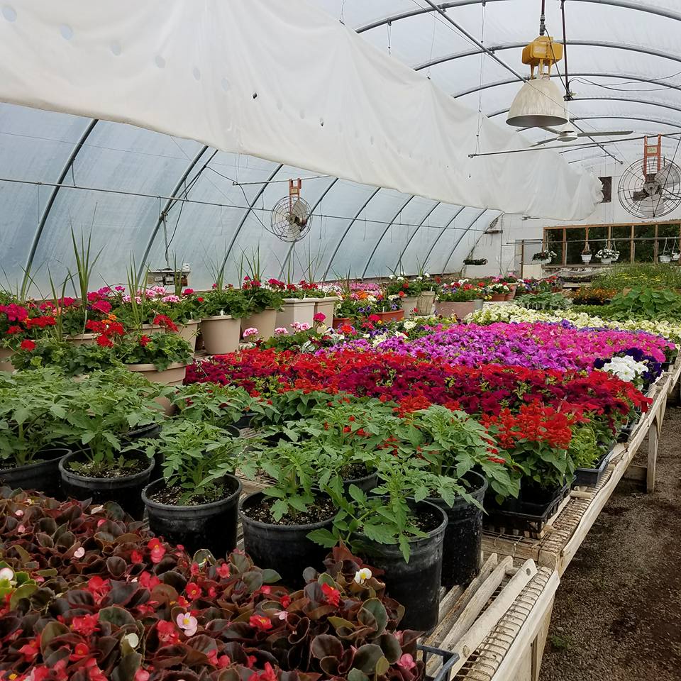 Business Directory Rolfe