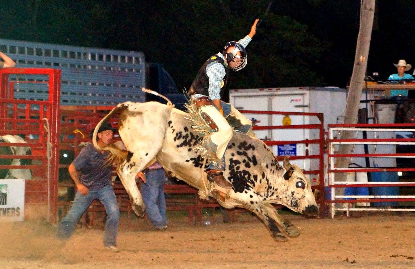 Bull rider at Fonda Labor Day rodeo Photo by Scott Kilbride