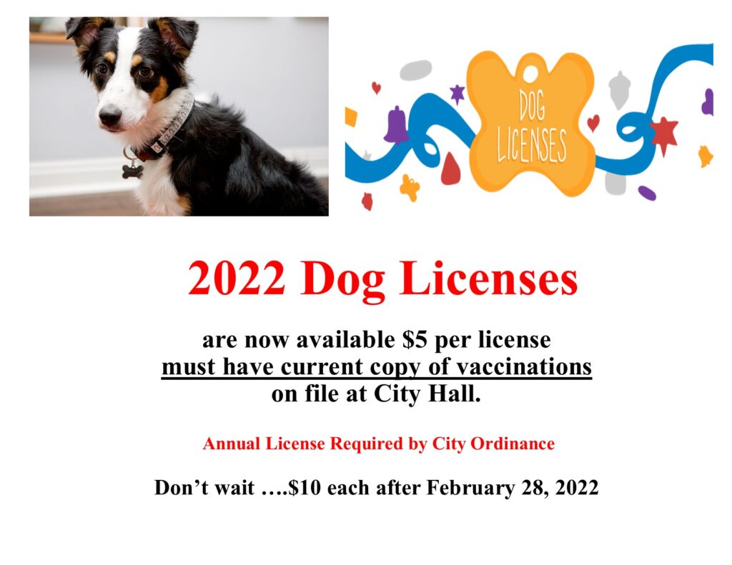 Dog license poster 2022