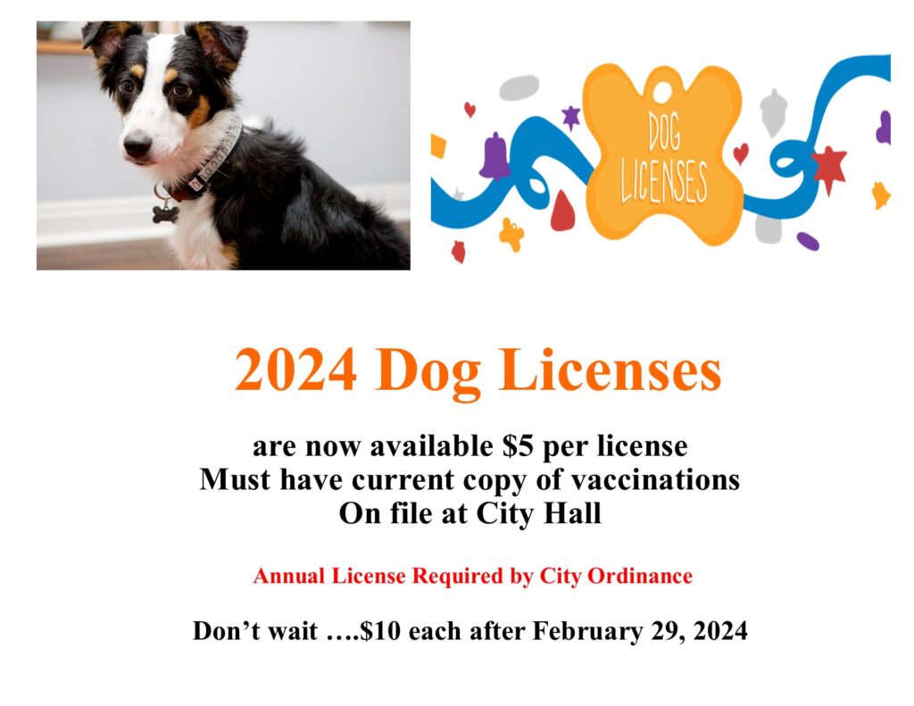 Dog license poster 2024