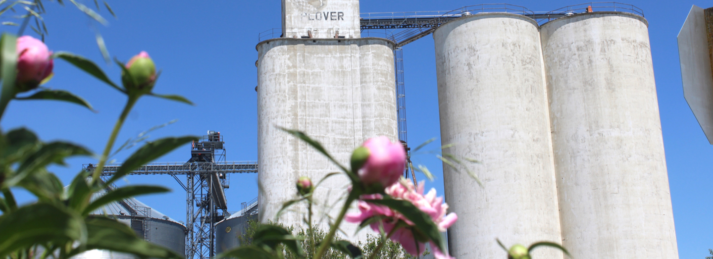 Silos or grain bins in the background; pink flowers in the foreground